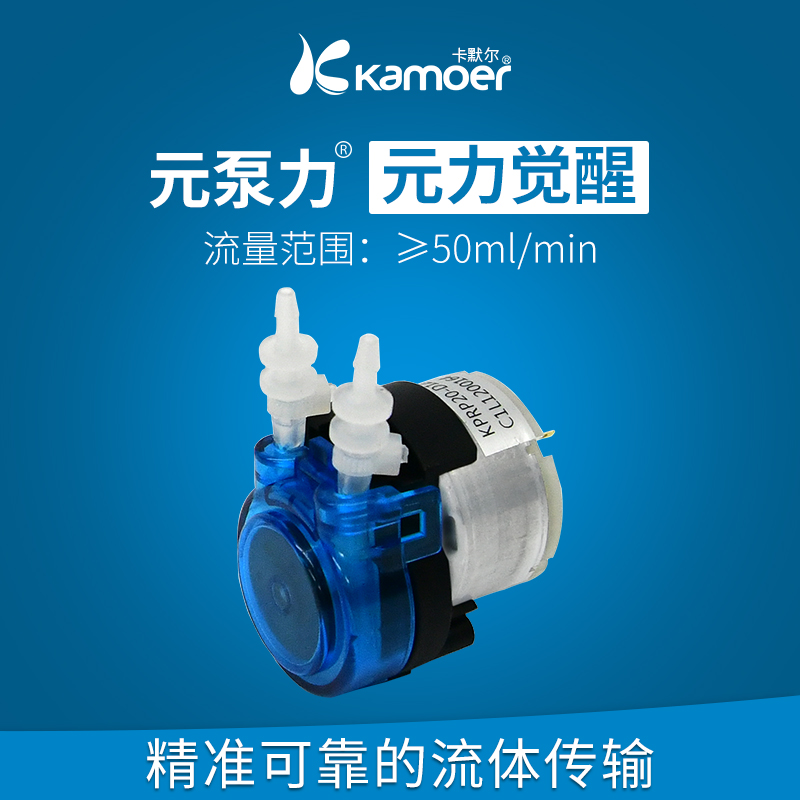 卡默尔蠕动泵12v微型小型泵扫地机器人迷你齿轮泵减速 小流量水泵
