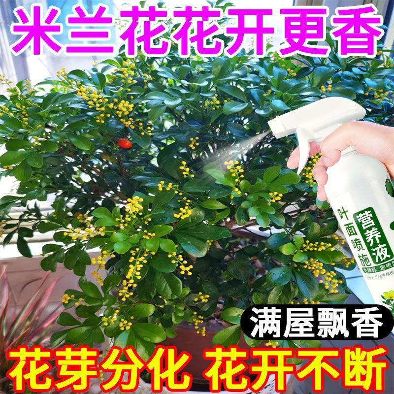 适合各种花的营养液米兰花专用植物营养液治黄叶落叶生根叶面喷施