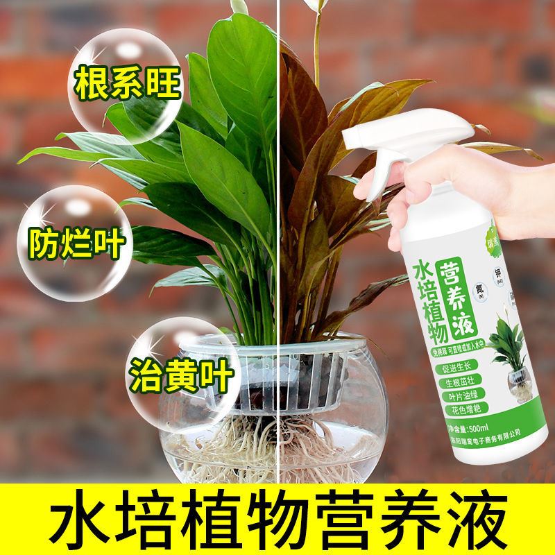 适合各种花的营养液水培植物营养液通用型富贵竹兰生根药水免稀释