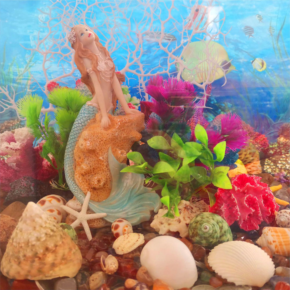 鱼缸造景天然海螺贝壳海星小摆件大全金鱼布景装饰品卷贝寄居蟹壳