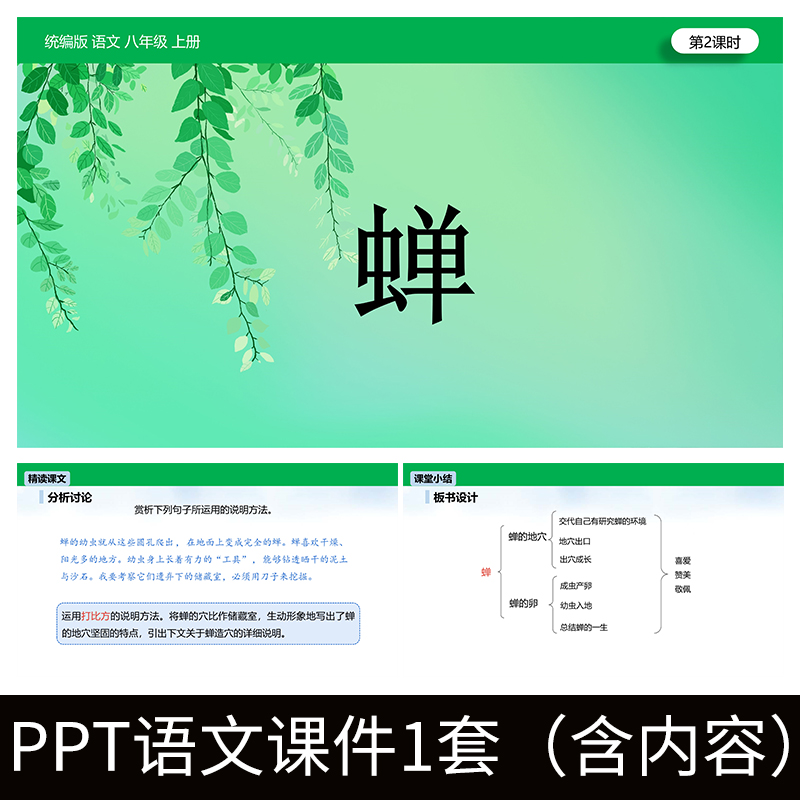 E117初中语文八年级上蝉统编版法布尔昆虫记PPT教学教案课件成品