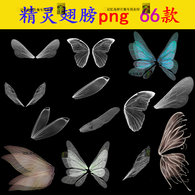 N190梦幻精灵仙女翅膀png素材高清免抠图片ps合成特效昆虫蝴蝶