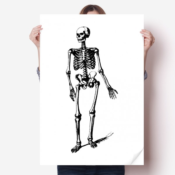 走路人体骨骼素描海报贴纸80x55cm墙贴纸卧室家居装饰