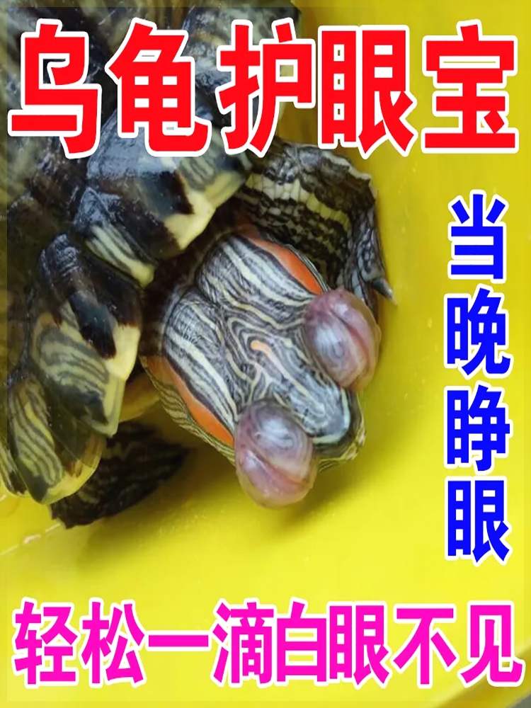 乌龟白眼病眼药水宠物龟眼睛发白睁不开红肿细菌感染专用特效药