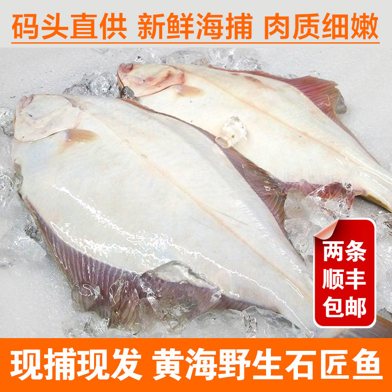丹东新鲜石浆鱼1斤半1条深海鲽鱼牙片鱼天然比目偏口鱼满两条包邮