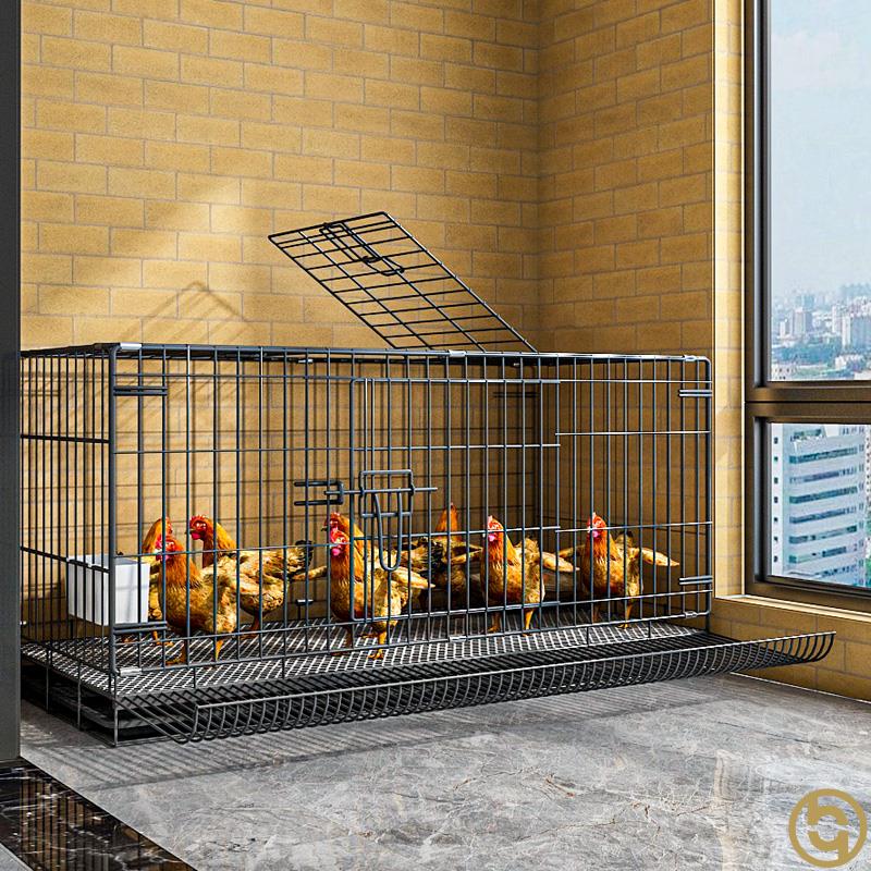 家庭养鸡笼阳台无臭养鸡楼顶养鸡笼兔子笼子室内专用鸭子大空间密