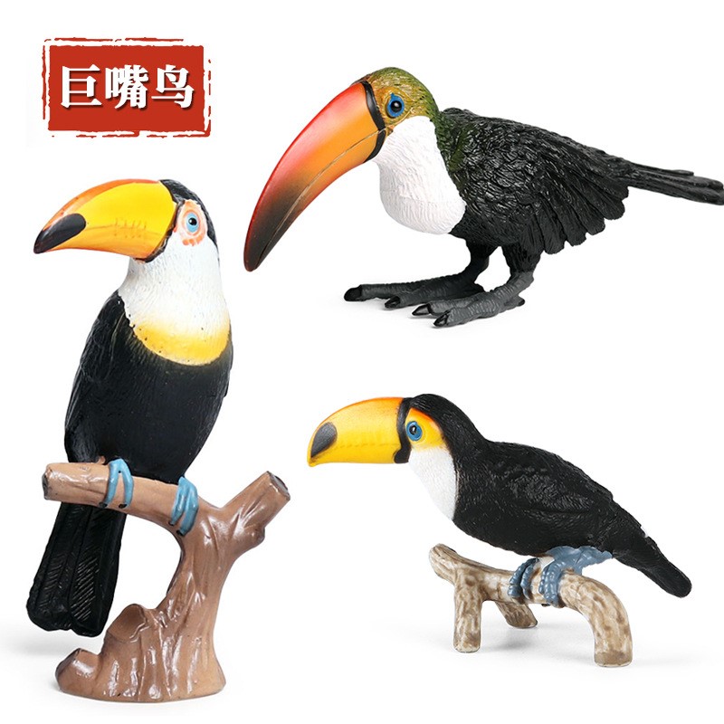 仿真动物巨嘴鸟模型实心动物园鸟类玩具大嘴鸟鹦鹉儿童认知摆件