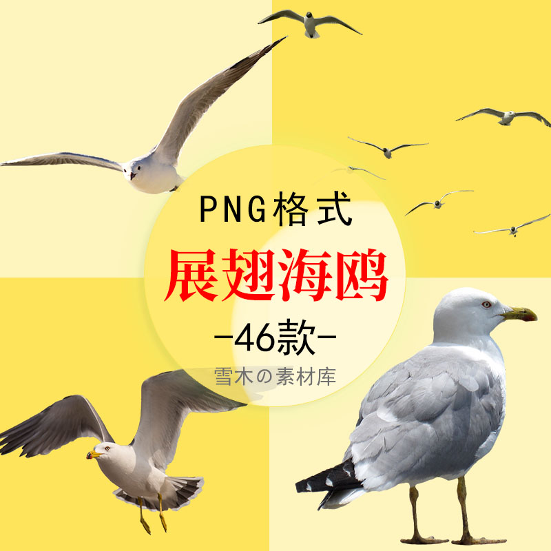 91展翅飞翔海鸥鸟类小鸟PPT海报合成点缀装饰PNG透明免扣设计素材