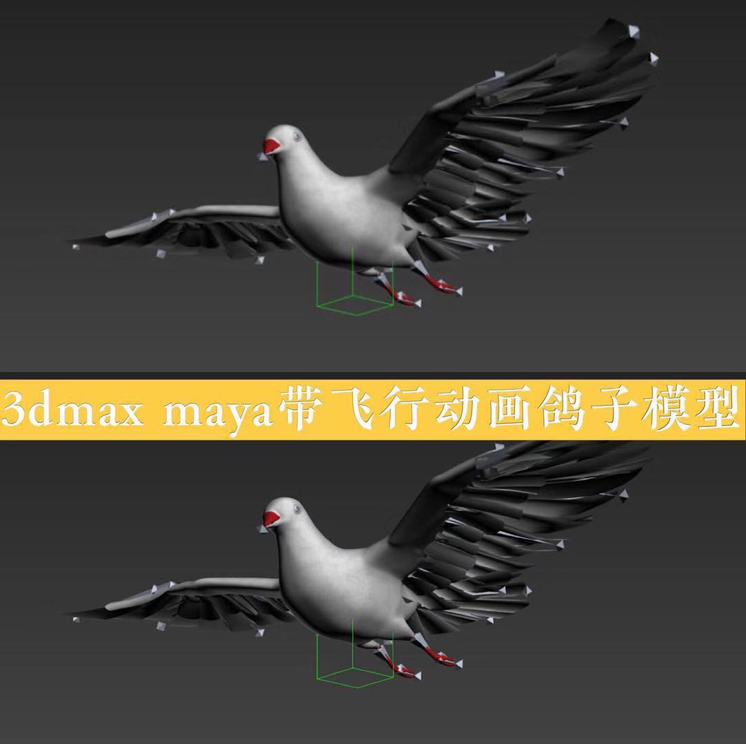 3dmax  maya格式动物白色鸽子小鸟带飞行动画 3d模型素材 004