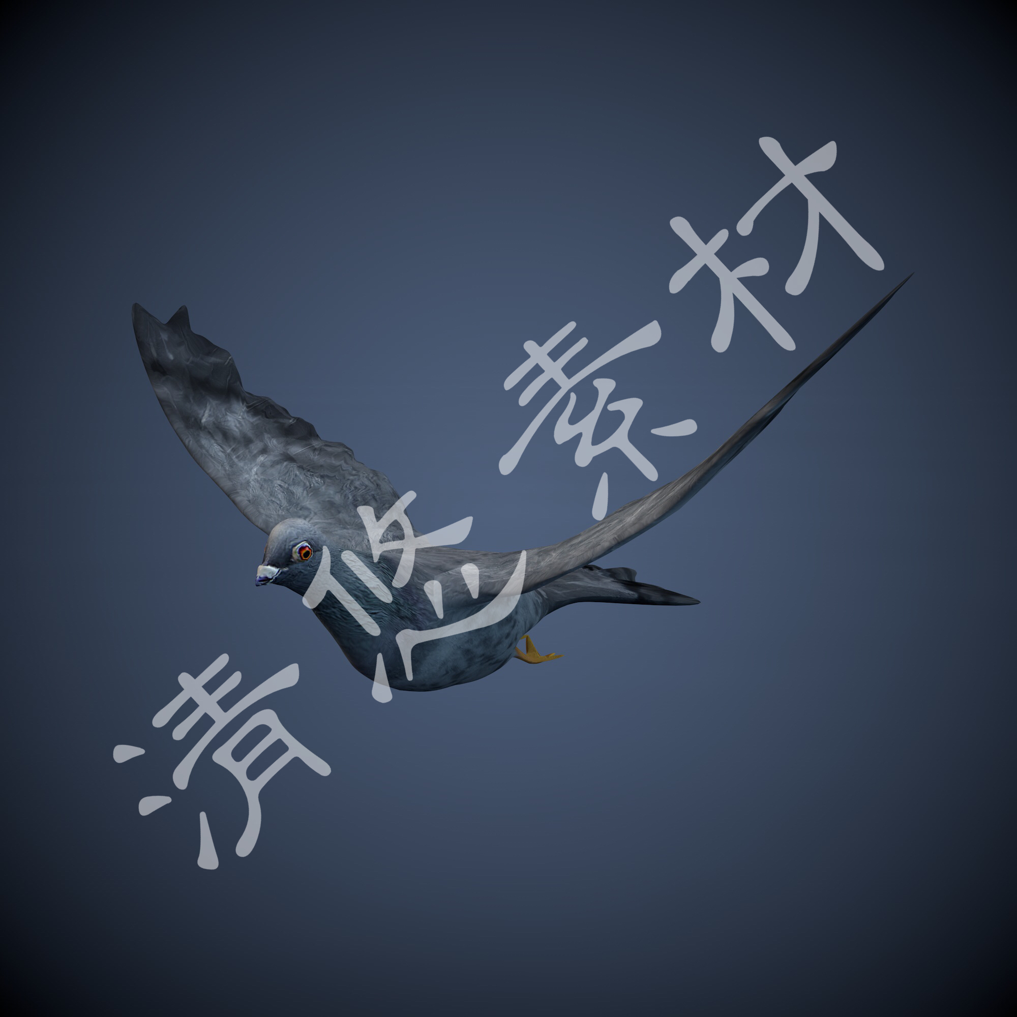 3dmax c4d动物灰蓝色鸽子小鸟带飞行动画骨骼绑定fbx格式模型499