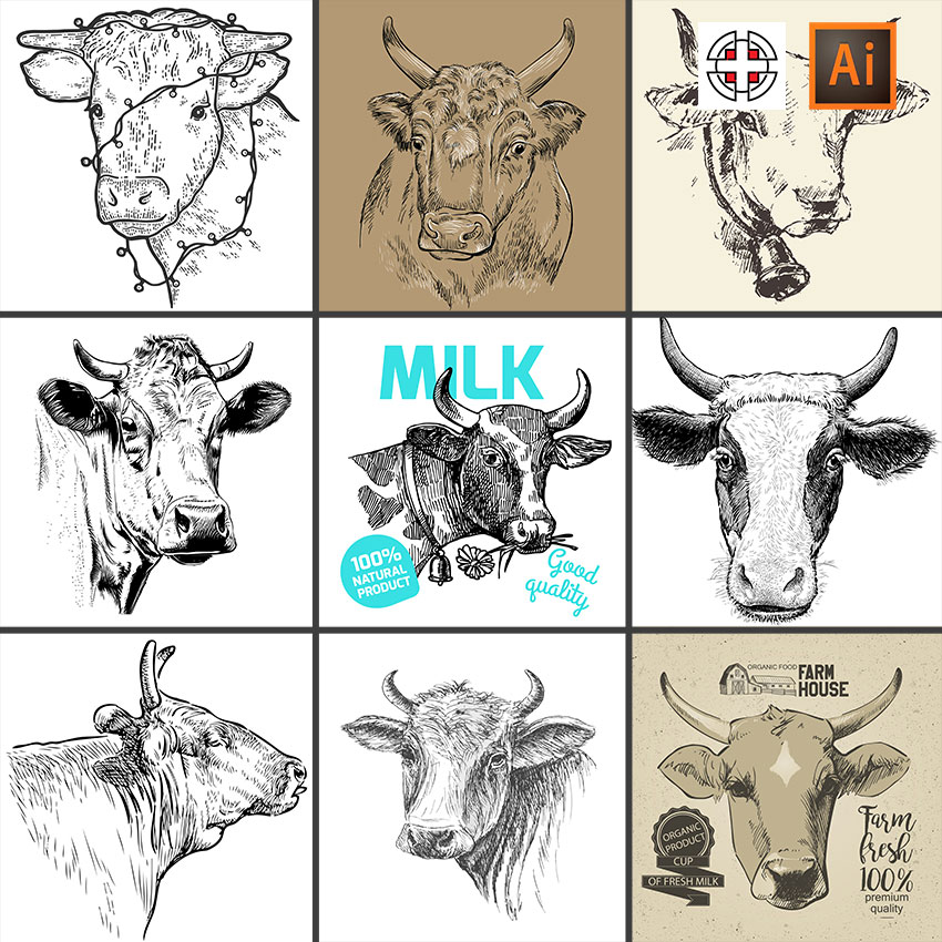 牛头奶牛公牛水牛黄牛素描速写线稿草图插图插画AI矢量设计素材