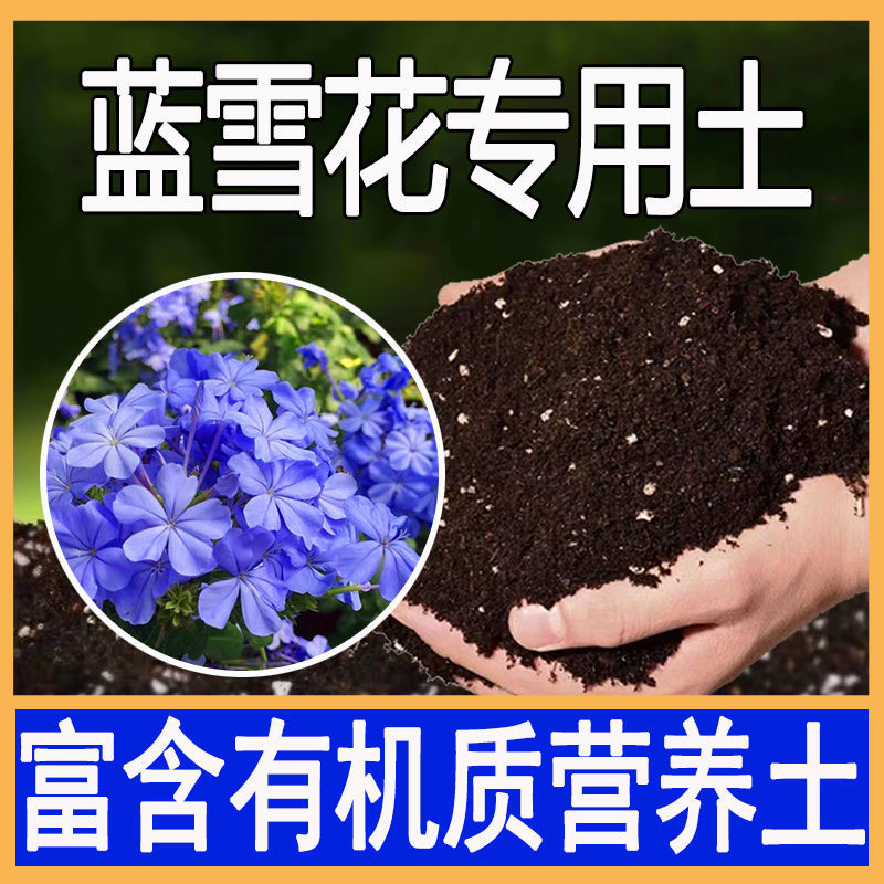 蓝雪花专用土盆栽种植蓝花丹酸性腐殖土壤沙性花泥通用营养土花肥