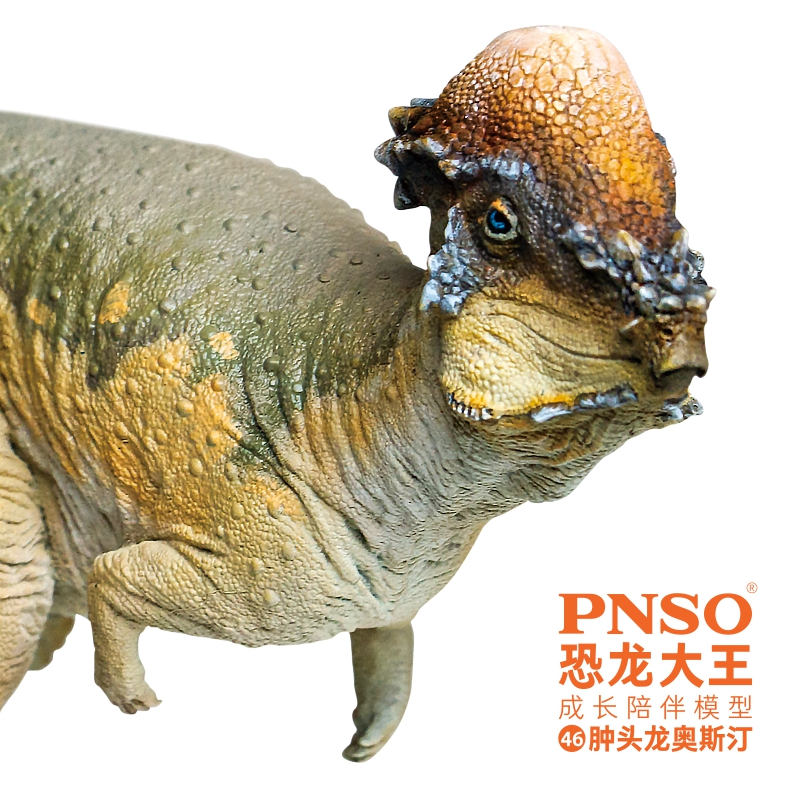 PNSO恐龙大王仿真侏罗纪恐龙玩具成长陪伴模型46肿头龙奥斯汀