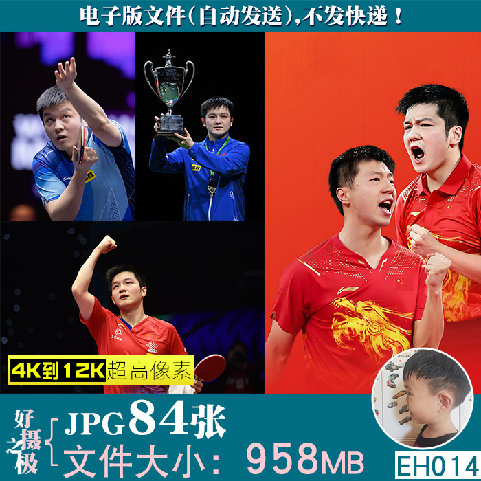 樊振东乒乓球运动员体育明星4K8K12K高清手机电脑图片壁纸JPG素材