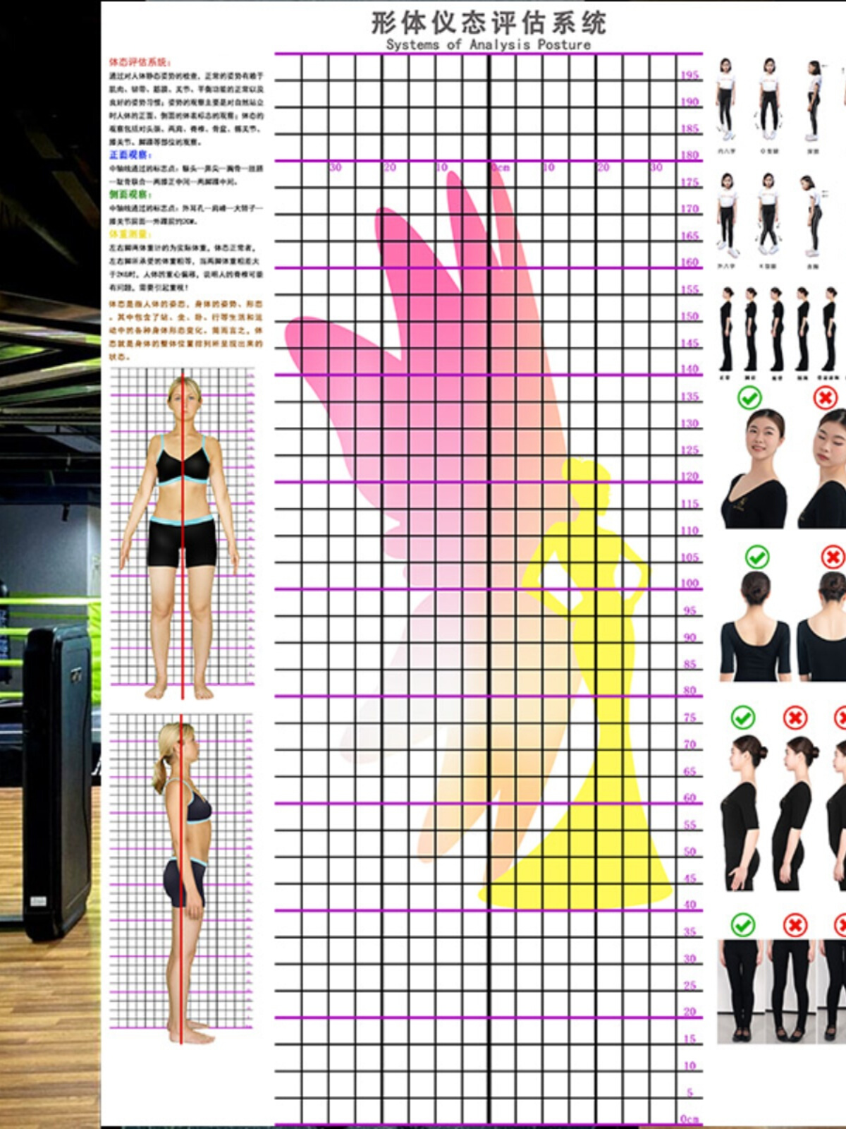 仪态形体纠正评估表舞蹈健美操模特礼仪体态姿势分析对比体态图表