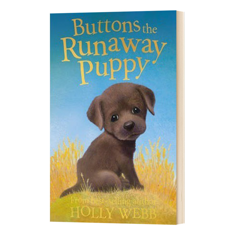 英文原版 Buttons the Runaway Puppy Holly Webb Animal Stories 霍莉韦伯 我的宠物宝贝系列 英文版儿童图书