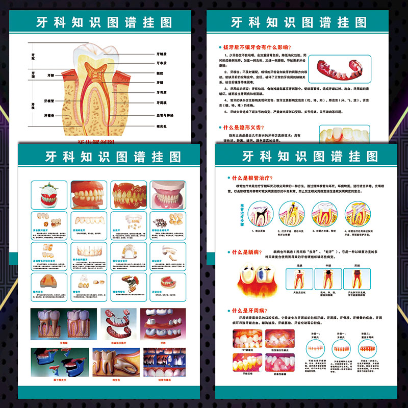 牙科宣传画口腔科海报牙齿结构功能知识解剖图谱挂图墙贴纸WSA54