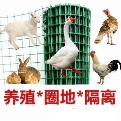 鸭子儿童加密养鸡鸭围栏网家用养鸡场单面围墙网猫咪菜园草坪大