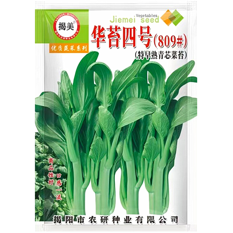 菜苔青芯早熟华苔四号种子 多次采收多芽甜菜心 青菜苔蔬菜种子