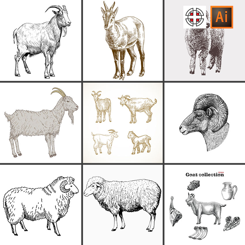 山羊绵羊速写素描线稿草图插画插图AI矢量设计素材