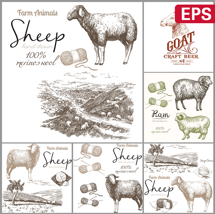 手绘线描山羊绵羊奶羊毛线棉线羊毛衣海报插画EPS矢量设计素材