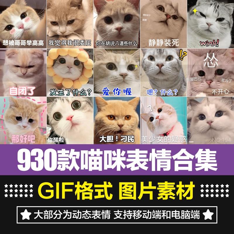 搞笑喵星人可爱小猫咪软萌宠物QQ微信聊天表情包GIF动态图片素材