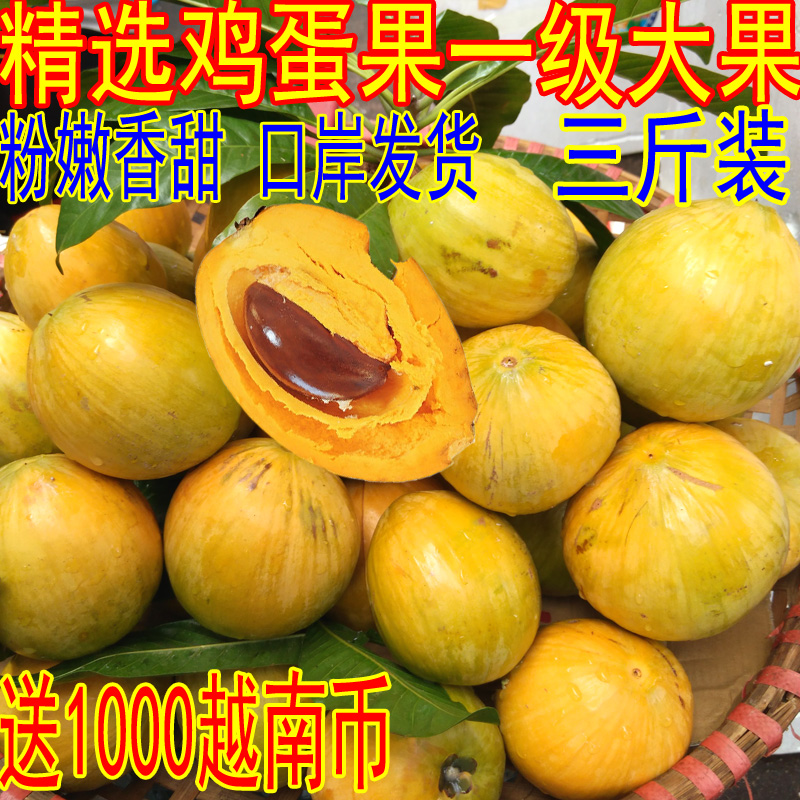 越南品种蛋黄果鸡蛋果特级大果狮子果热带新鲜水果香甜糯3斤包邮