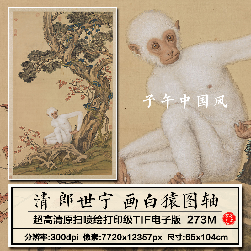 郎世宁画白猿图立轴清朝古代工笔猿猴绘画装饰高清电子版图片素材
