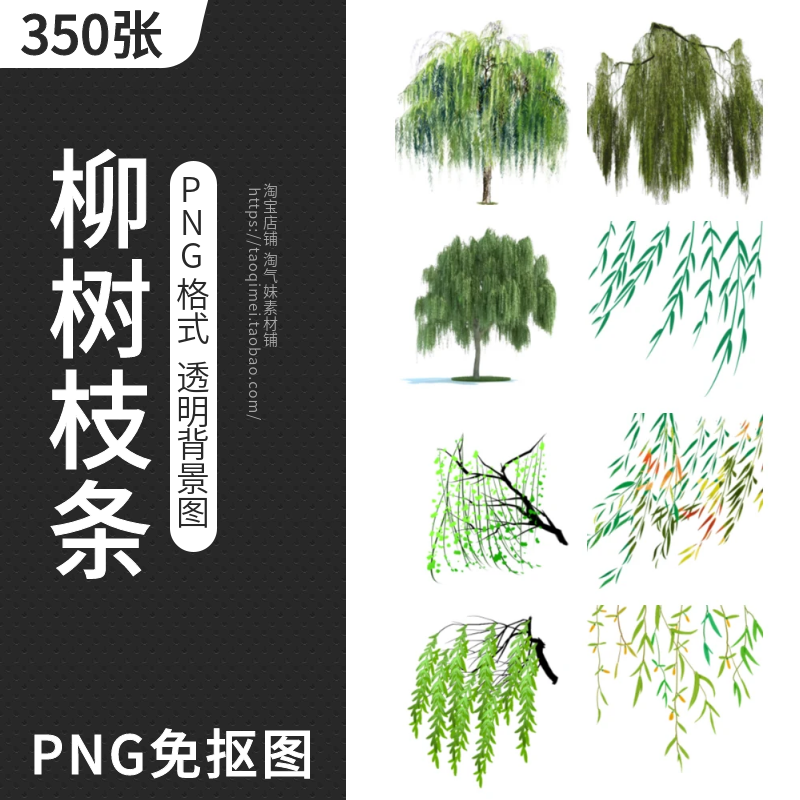 柳树枝条PNG免扣图片柳叶柳条垂杨柳园林景观图案插画设计PS素材