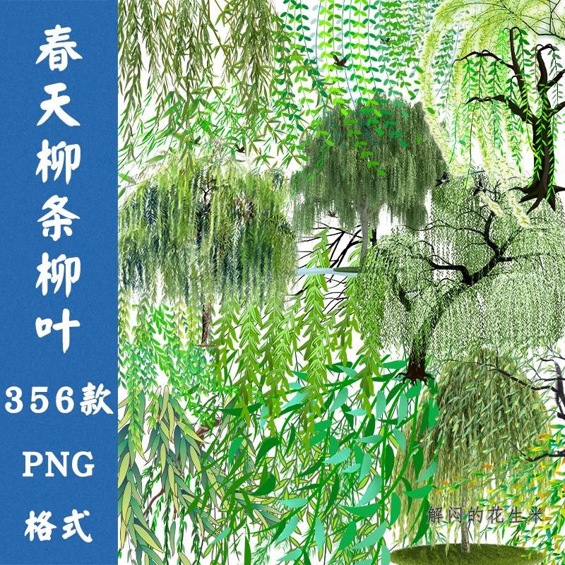 春天绿色柳树柳条柳叶水墨PNG免抠素材春季柳树枝背景插画ps图案