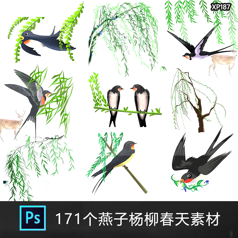 春天燕子杨柳麻雀手绘水彩鸟PSD插画动物鸽子柳条树叶PNG设计素材