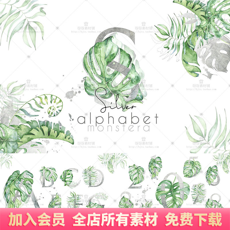 手绘水彩绿色清新热带植物龟背竹花体字母数字PNG免抠图设计素材