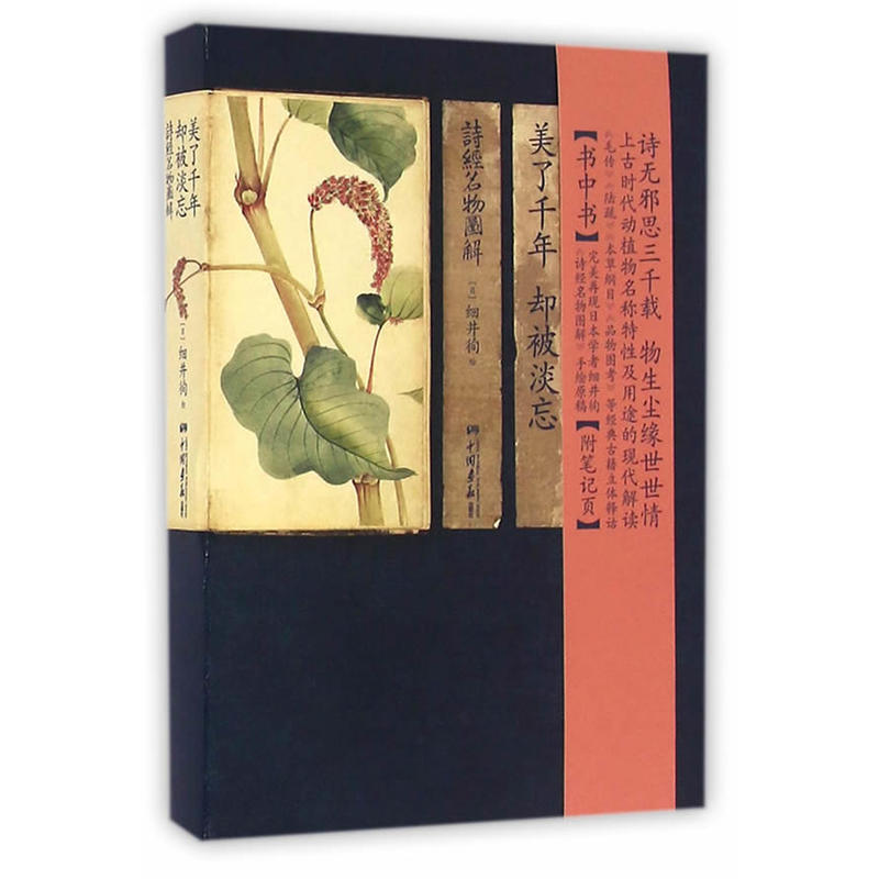 【现货】 美了千年却被淡忘 中国画报 诗经图解中国古诗词中动植物名物素描手绘人物风景 诗经中的植物全集图文学书籍