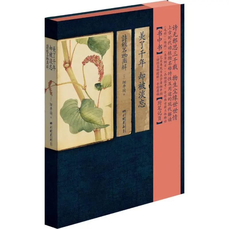 美了千年却被淡忘 诗经名物图解中国古诗词中的动植物名物素描手绘人物风景书籍诗经中的植物全集图解正版图书 中国画报