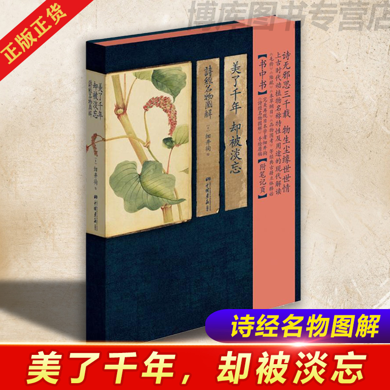 正版 中国画报 美了千年却被淡忘 诗经名物图解中国古诗词中的动植物名物素描手绘人物风景书籍诗经中的植物全集图解正版图书