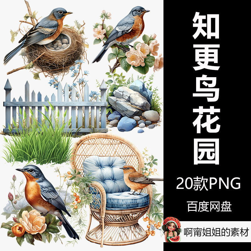 美国知更鸟花园剪贴画手绘水彩鸟类插画PNG免抠设计素材高清新品