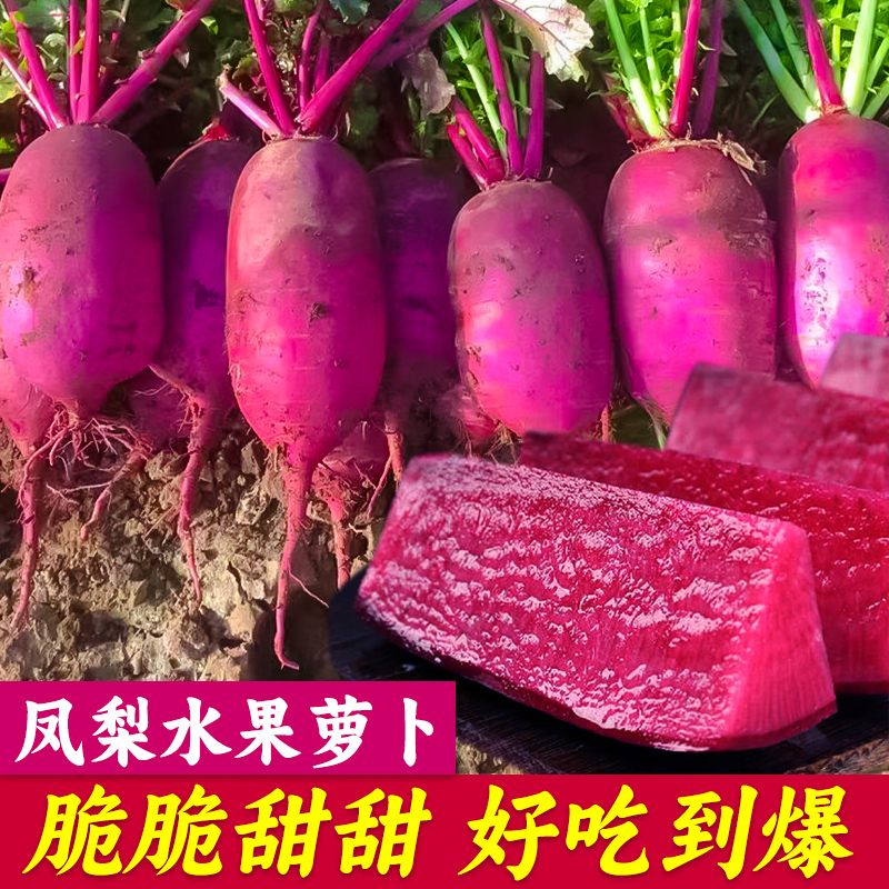 凤梨水果萝卜种籽大全红皮红心萝卜种子紫美人四季播阳台盆栽种孑