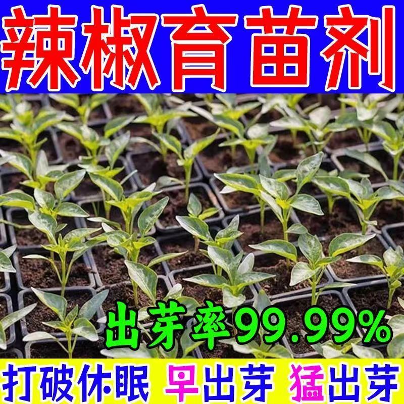 辣椒种子发芽剂催芽爆芽生根壮苗打破种子休眠期加速发芽通用正品