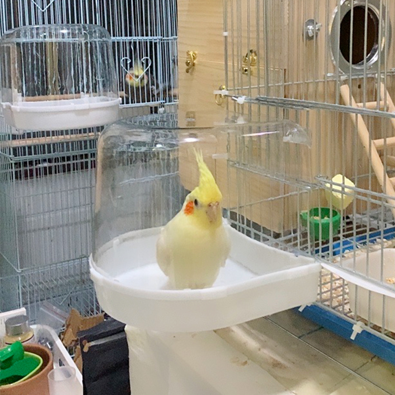 虎皮玄凤牡丹鹦鹉专用洗澡盆小鸟玩具洗澡神器大号互动外挂浴盆子