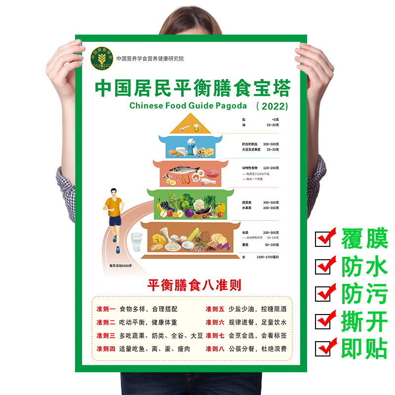 中国居民膳食宝塔2024新版挂图婴儿童孕妇营养膳食平衡金字塔贴纸
