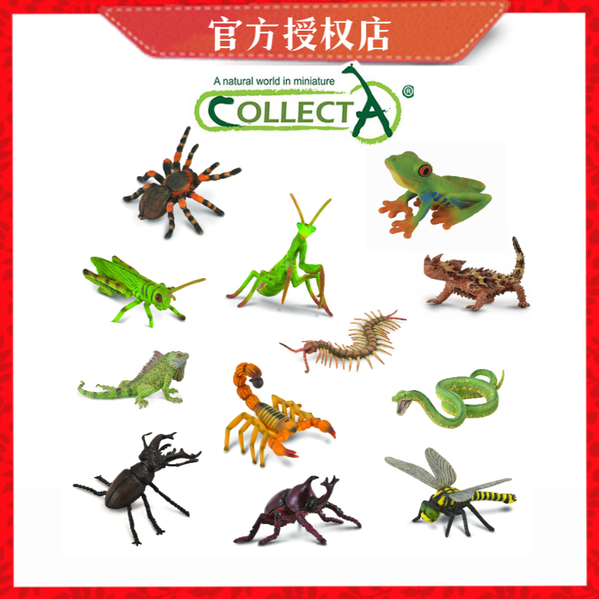 [小探索]CollectA昆虫蝴蝶爬行两栖仿真动物模型微观世界沙盘模型