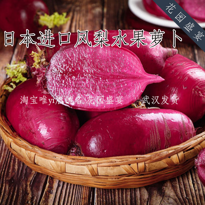 日本进口凤梨水果萝卜种子 生食脆甜多汁 紫红心萝卜