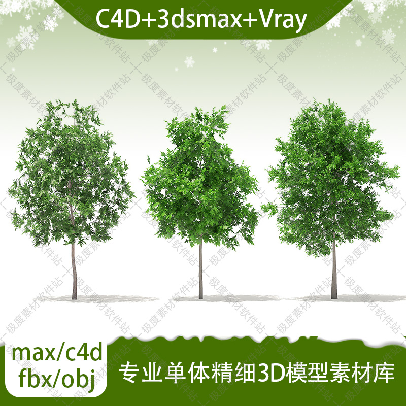 3dmax c4d vray园林景观白杨白橡木榆树 专业单体精细3D模型素材