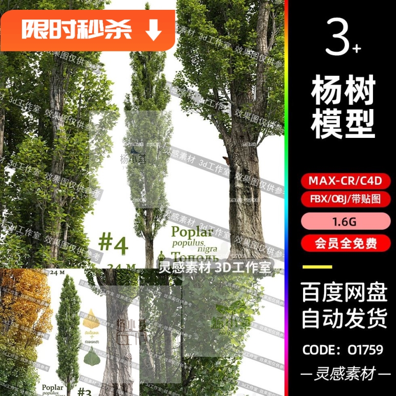 c4d杨树白杨树树木植物大树黄叶杨树3d模型fbx建模obj素材3dmax