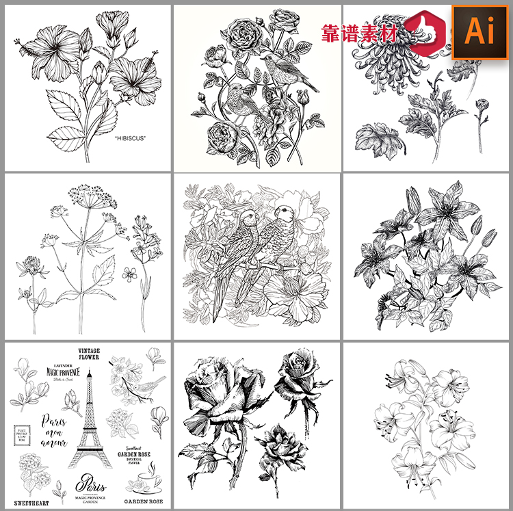 黑白复古手绘素描速写树枝鲜花植物花草药材香料矢量设计素材1816