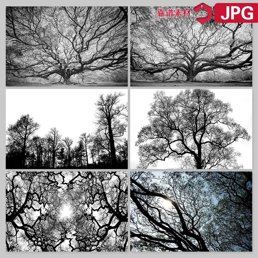 黑白森林树林大树枯树枝简约剪影墙纸高清图片JPG设计素材