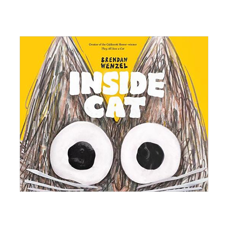 【现货】待在房子里的猫Inside Cat 3-5儿童思维启蒙发展故事绘本 英文原版 猫咪的第*视角观察 Brendan Wenzel书籍进口