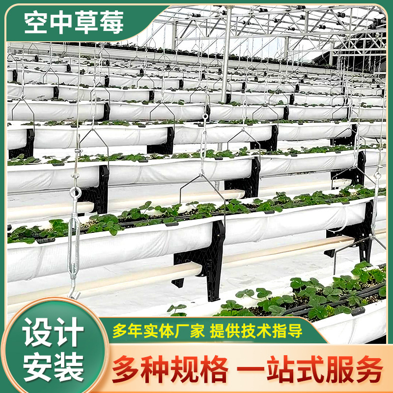 空中草莓无土栽培设备农业水培种植蔬菜种植槽空中草莓立体种植槽