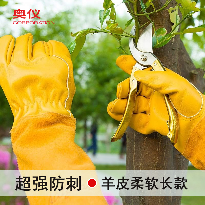 日本长款园艺摘花椒手套神器专用防割防刺防水加厚刺猬马蜂仙人掌
