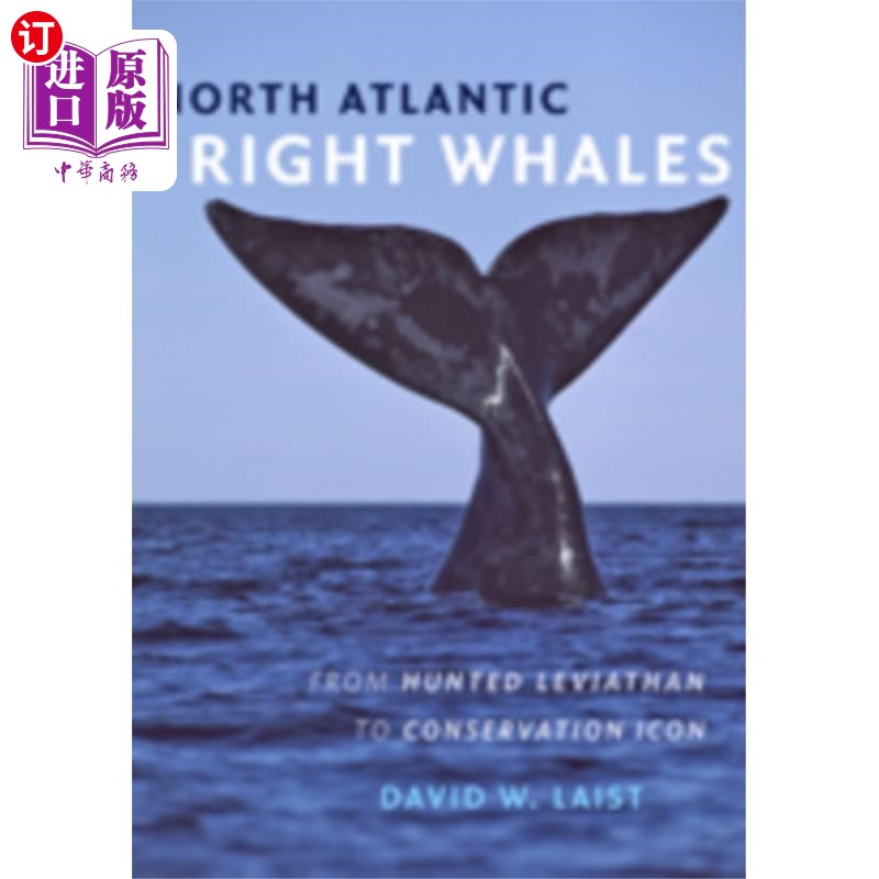 海外直订North Atlantic Right Whales 北大西洋露脊鲸